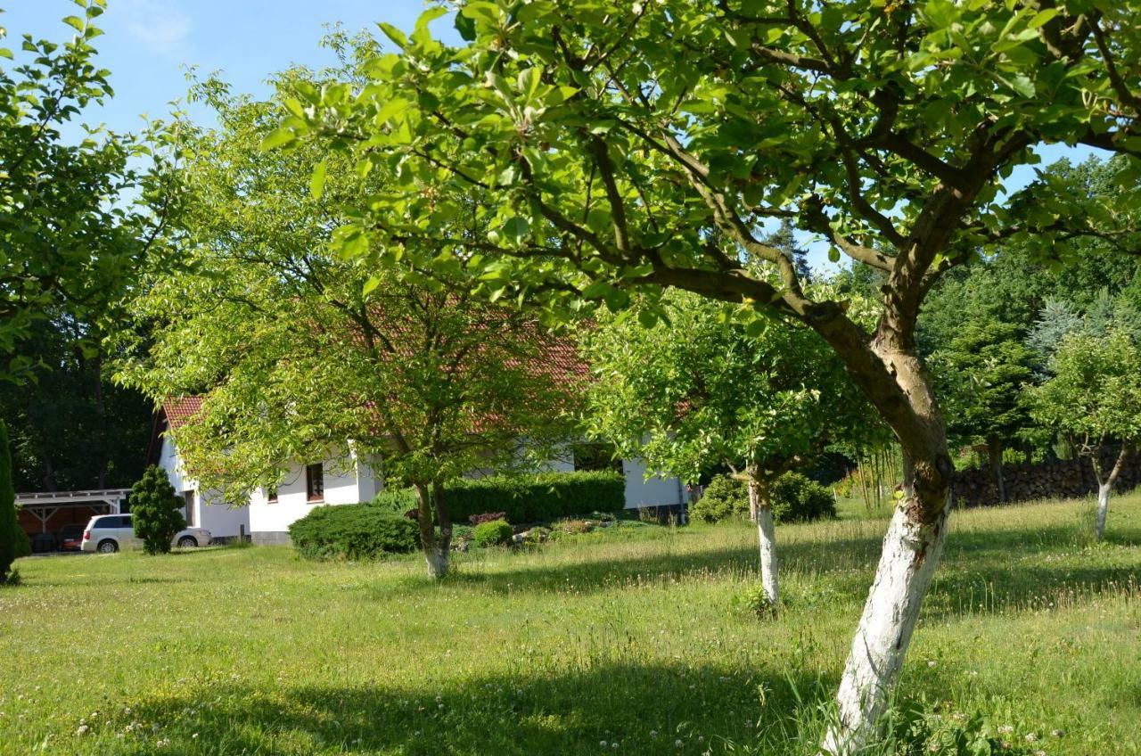 Kwatery Przy A4 Dabrowa Boleslawiecka Exteriér fotografie